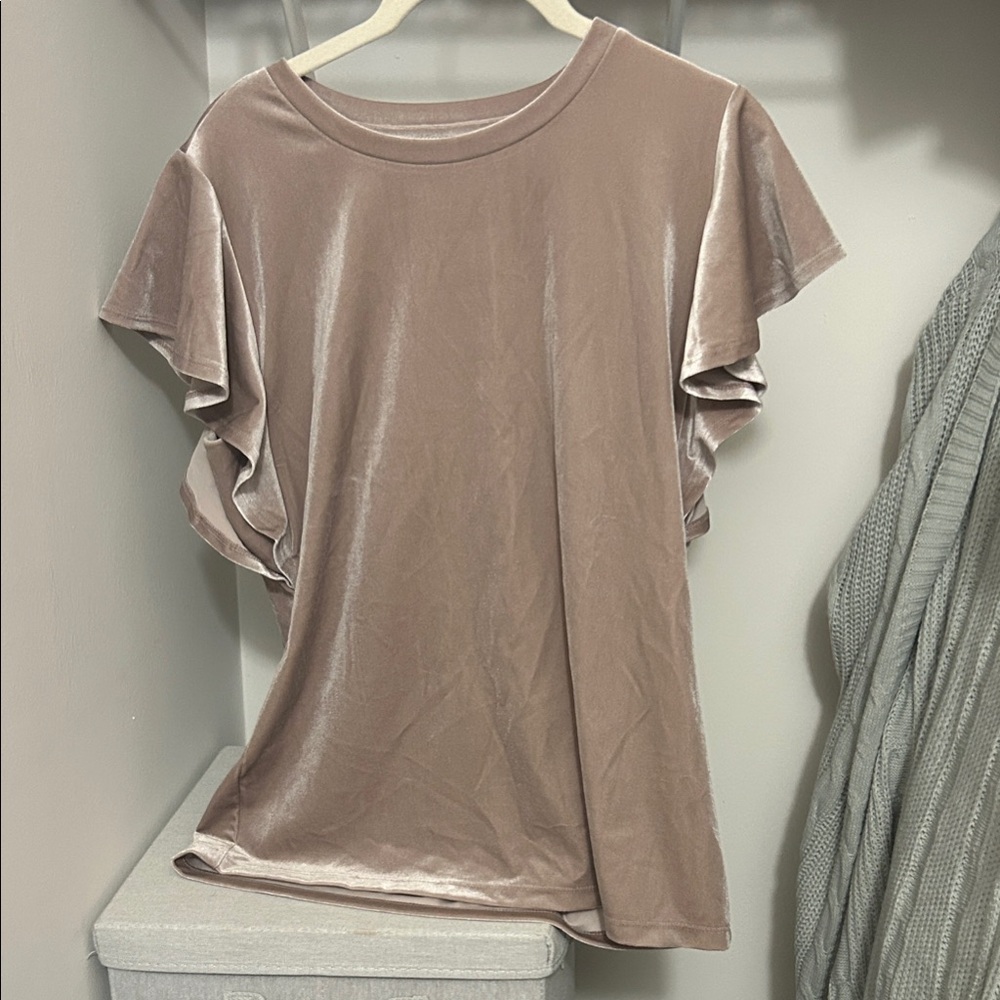 Ann Taylor Velvet Top in Soft Pink